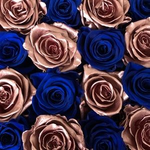 Meet your Posher, Lakeisha